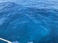 Great day of scuba diving in Key Largo with Rainbow Reef on uscgc duane tropical destiny 2019 03 16 r7975 1