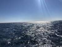 Great day of scuba diving in Key Largo with Rainbow Reef on uscgc duane tropical odyssey 2019 03 22 r8000 1