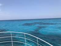 Great day of scuba diving in Key Largo with Rainbow Reef on benwood wreck tropical legend 2019 05 14 r8268 1