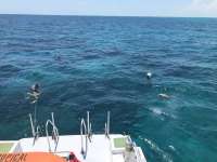 Great day of scuba diving in Key Largo with Rainbow Reef on captains choice tropical legend 2019 05 10 r8250 1