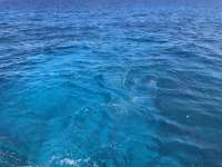 Great day of scuba diving in Key Largo with Rainbow Reef on christmastree cave santana 2019 05 22 r8308 1