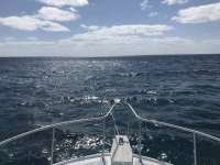 Great day of scuba diving in Key Largo with Rainbow Reef on christmastree cave santana 2019 05 28 r8344 1