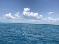 Great day of scuba diving in Key Largo with Rainbow Reef on christmastree cave tropical legend 2019 05 14 r8266 1