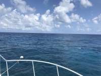 Great day of scuba diving in Key Largo with Rainbow Reef on christmastree cave tropical serenity 2019 05 09 r8246 1