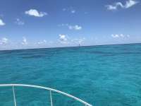Great day of scuba diving in Key Largo with Rainbow Reef on eagle ray alley santana 2019 05 20 r8297 1