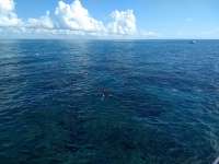 Great day of scuba diving in Key Largo with Rainbow Reef on eagle ray alley tropical adventure 2019 05 20 r8294 1