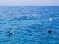Great day of scuba diving in Key Largo with Rainbow Reef on fire coral cave tropical destiny 2019 05 14 r8267 1