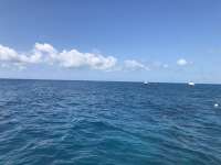 Great day of scuba diving in Key Largo with Rainbow Reef on fire coral cave tropical legend 2019 05 08 r8237 1