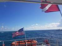 Great day of scuba diving in Key Largo with Rainbow Reef on hole in the wall tropical serenity 2019 05 11 r8255 1