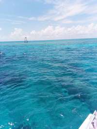 Great day of scuba diving in Key Largo with Rainbow Reef on molasses deep tropical legend 2019 05 02 r8205 1