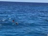 Great day of scuba diving in Key Largo with Rainbow Reef on molasses reef santana 2019 05 22 r8309 1