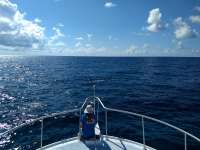 Great day of scuba diving in Key Largo with Rainbow Reef on snapper ledge santana 2019 05 21 r8302 1