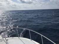 Great day of scuba diving in Key Largo with Rainbow Reef on spiegel grove tropical serenity 2019 05 29 r8348 1