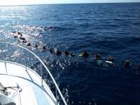 Great day of scuba diving in Key Largo with Rainbow Reef on uscgc duane santana 2019 05 09 r8243 1
