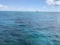 Great day of scuba diving in Key Largo with Rainbow Reef on uscgc duane tropical destiny 2019 05 21 r8300 1
