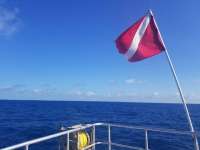Great day of scuba diving in Key Largo with Rainbow Reef on uscgc duane tropical destiny 2019 05 30 r8355 1