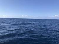 Great day of scuba diving in Key Largo with Rainbow Reef on uscgc duane tropical serenity 2019 05 09 r8241 1