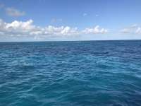 Great day of scuba diving in Key Largo with Rainbow Reef on banana patch tropical destiny 2019 11 07 r8872 1