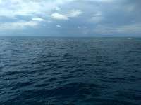 Great day of scuba diving in Key Largo with Rainbow Reef on christ statue tropical destiny 2019 11 15 r8896 1