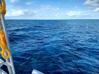 Great day of scuba diving in Key Largo with Rainbow Reef on christ statue tropical destiny 2019 11 23 r8933 1