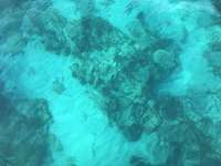 Great day of scuba diving in Key Largo with Rainbow Reef on christ statue tropical destiny 2019 11 25 r8943 1