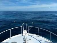 Great day of scuba diving in Key Largo with Rainbow Reef on conch ledge santana 2019 11 12 r8887 1