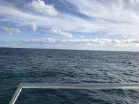 Great day of scuba diving in Key Largo with Rainbow Reef on eagle ray alley tropical legend 2019 11 16 r8899 1