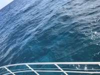 Great day of scuba diving in Key Largo with Rainbow Reef on fire coral cave tropical odyssey 2019 11 22 r8924 1
