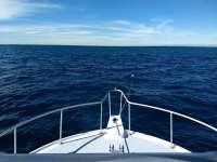 Great day of scuba diving in Key Largo with Rainbow Reef on french reef santana 2019 11 17 r8904 1