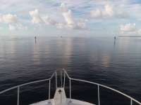 Great day of scuba diving in Key Largo with Rainbow Reef on molasses reef tropical legend 2019 11 25 r8939 1