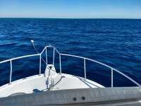 Great day of scuba diving in Key Largo with Rainbow Reef on molasses reef tropical serenity 2019 11 28 r8955 1