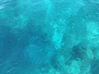 Great day of scuba diving in Key Largo with Rainbow Reef on pillar coral tropical legend 2019 11 08 r8875 1