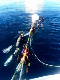 Great day of scuba diving in Key Largo with Rainbow Reef on spiegel grove tropical legend 2019 11 18 r8905 1