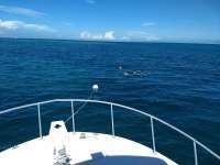 Great day of scuba diving in Key Largo with Rainbow Reef on banana patch tropical destiny 2019 10 10 r8823 1