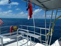 Great day of scuba diving in Key Largo with Rainbow Reef on eagle ray alley tropical destiny 2019 10 22 r8852 1