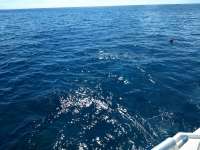 Great day of scuba diving in Key Largo with Rainbow Reef on eagle ray alley tropical destiny 2019 10 22 r8852 2