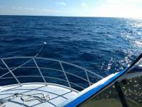 Great day of scuba diving in Key Largo with Rainbow Reef on french reef tropical adventure 2019 10 20 r8845 1