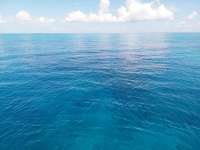 Great day of scuba diving in Key Largo with Rainbow Reef on molasses reef santana 2019 10 27 r8858 1