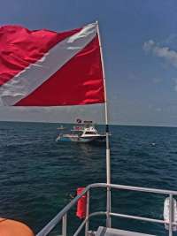 Great day of scuba diving in Key Largo with Rainbow Reef on molasses reef tropical serenity 2019 10 19 r8841 1