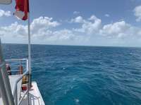 Great day of scuba diving in Key Largo with Rainbow Reef on snapper ledge tropical serenity 2019 10 01 r8797 1