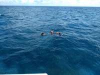 Great day of scuba diving in Key Largo with Rainbow Reef on spanish anchor tropical destiny 2019 10 11 r8825 2