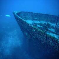 Great day of scuba diving in Key Largo with Rainbow Reef on spiegel grove tropical destiny 2019 10 01 r8796 2