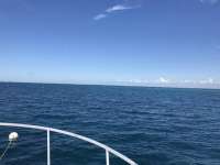 Great day of scuba diving in Key Largo with Rainbow Reef on christmastree cave tropical serenity 2019 09 06 r8751 1
