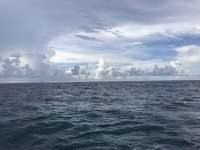 Great day of scuba diving in Key Largo with Rainbow Reef on eagle ray alley tropical serenity 2019 09 05 r8749 1