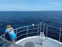 Great day of scuba diving in Key Largo with Rainbow Reef on spiegel grove tropical odyssey 2019 09 15 r8770 1