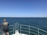 Great day of scuba diving in Key Largo with Rainbow Reef on spiegel grove tropical odyssey 2019 09 17 r8779 1