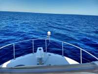 Great day of scuba diving in Key Largo with Rainbow Reef on uscgc duane tropical destiny 2019 09 26 r8784 1