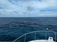 Great day of scuba diving in Key Largo with Rainbow Reef on banana patch tropical destiny 2020 08 12 r9928 1