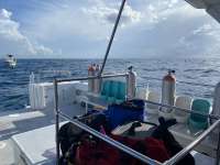Great day of scuba diving in Key Largo with Rainbow Reef on benwood wreck tropical explorer 2020 08 05 r9880 1