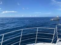Great day of scuba diving in Key Largo with Rainbow Reef on benwood wreck tropical legend 2020 08 16 r9939 1
